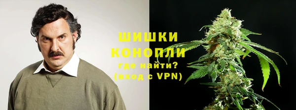 не бодяженный Бородино