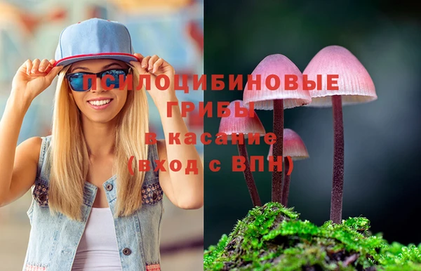 не бодяженный Бородино