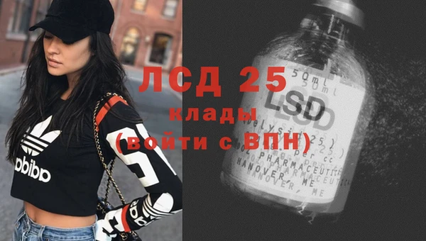 не бодяженный Бородино
